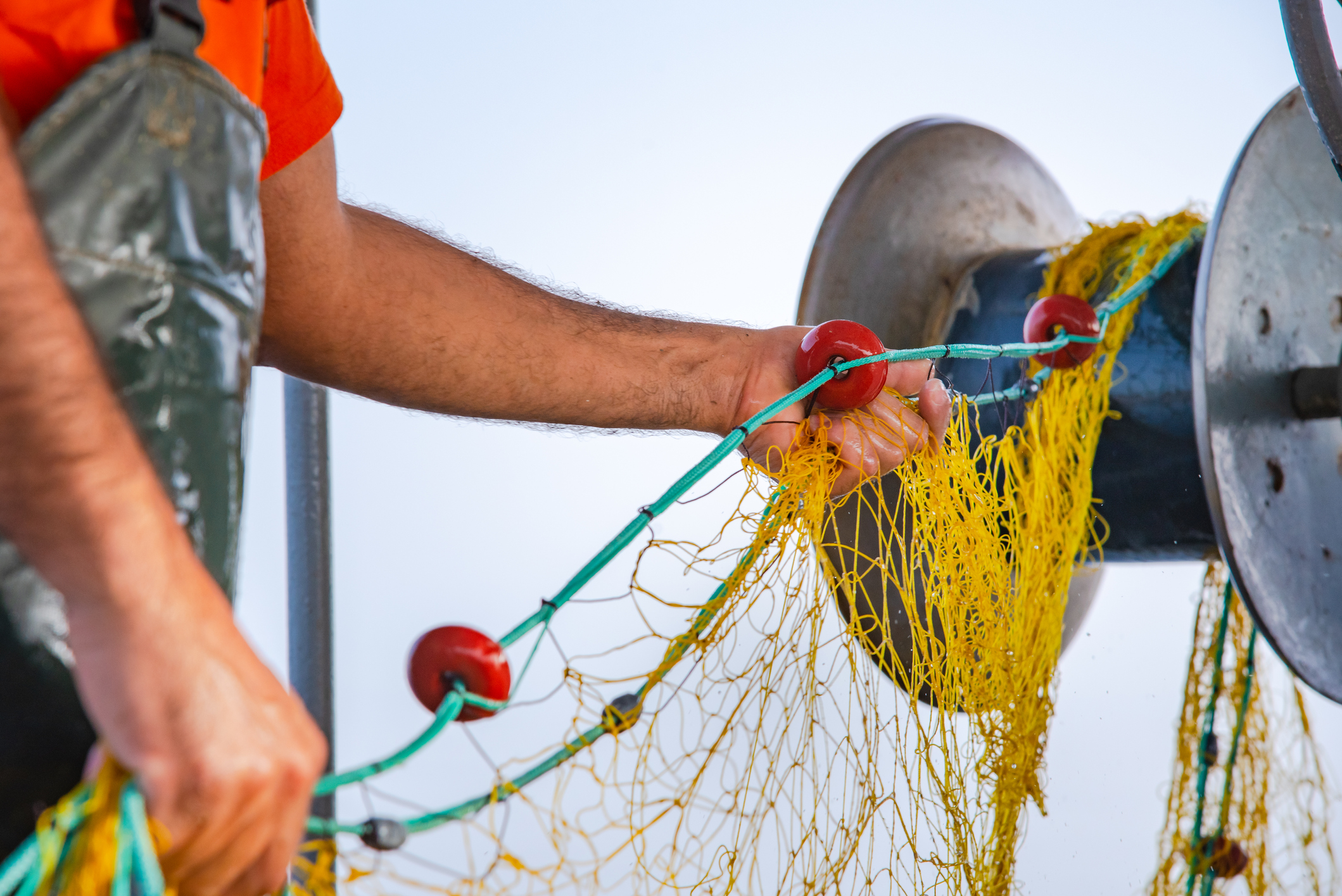 Fishing with nets